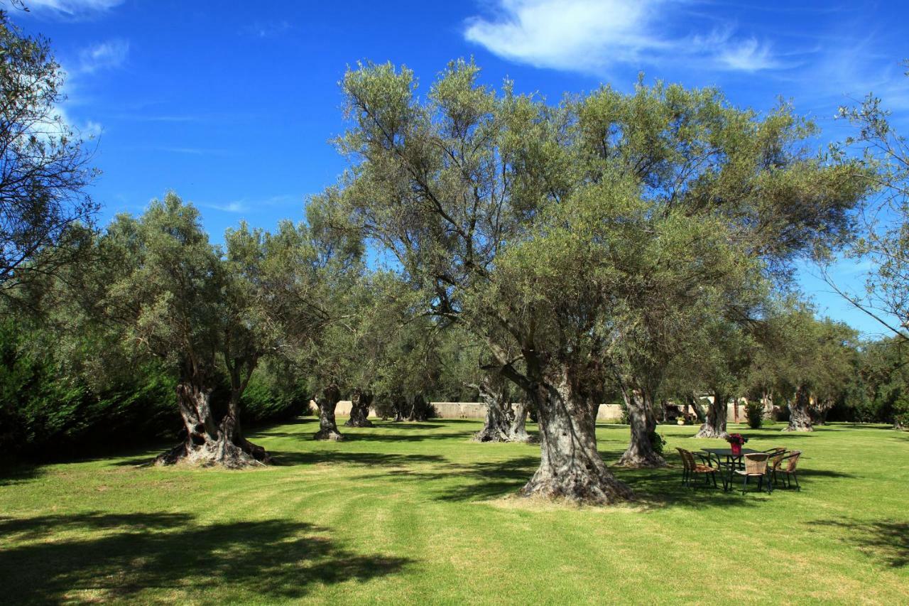 Olivastro Villa Lefkada City Luaran gambar